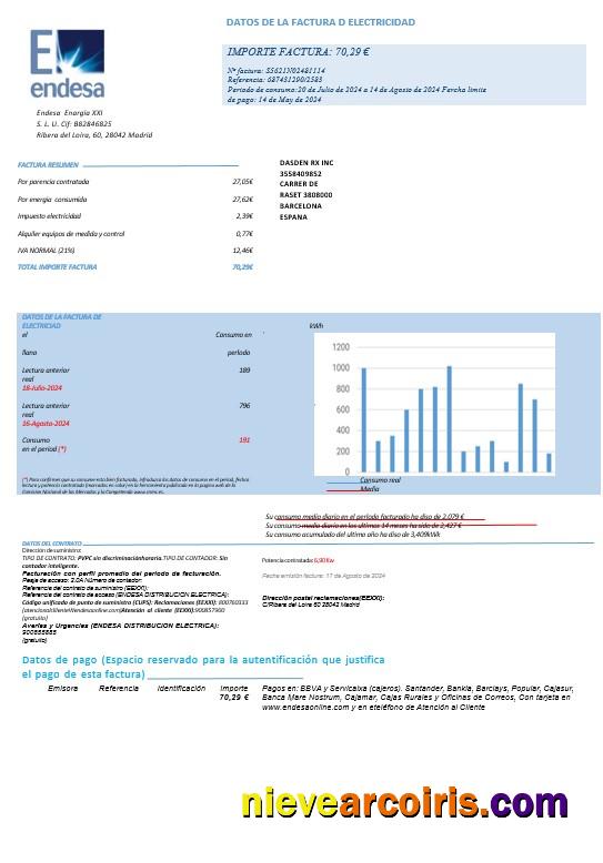 SPAIN ENDESA business utility bill-pages1